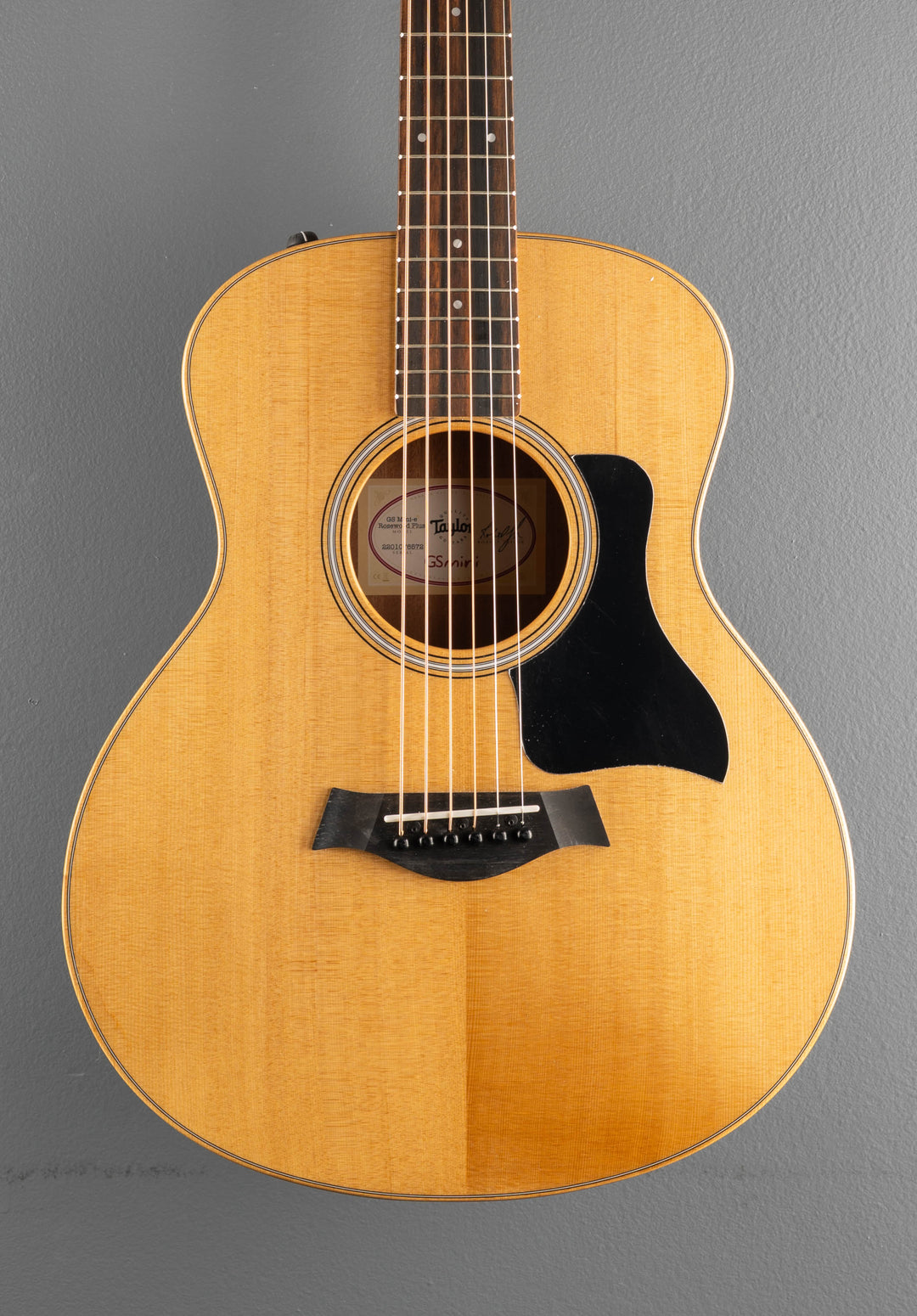 USED GS Mini-E Rosewood Plus &