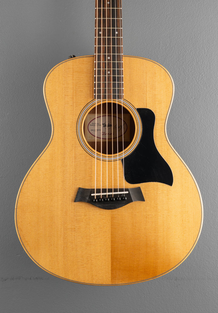 USED GS Mini-E Rosewood Plus &
