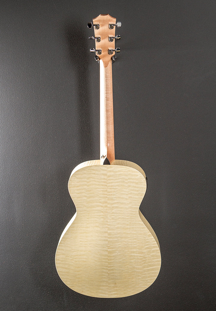 Evergreen Limited EG-12E (Academy 12E) '25