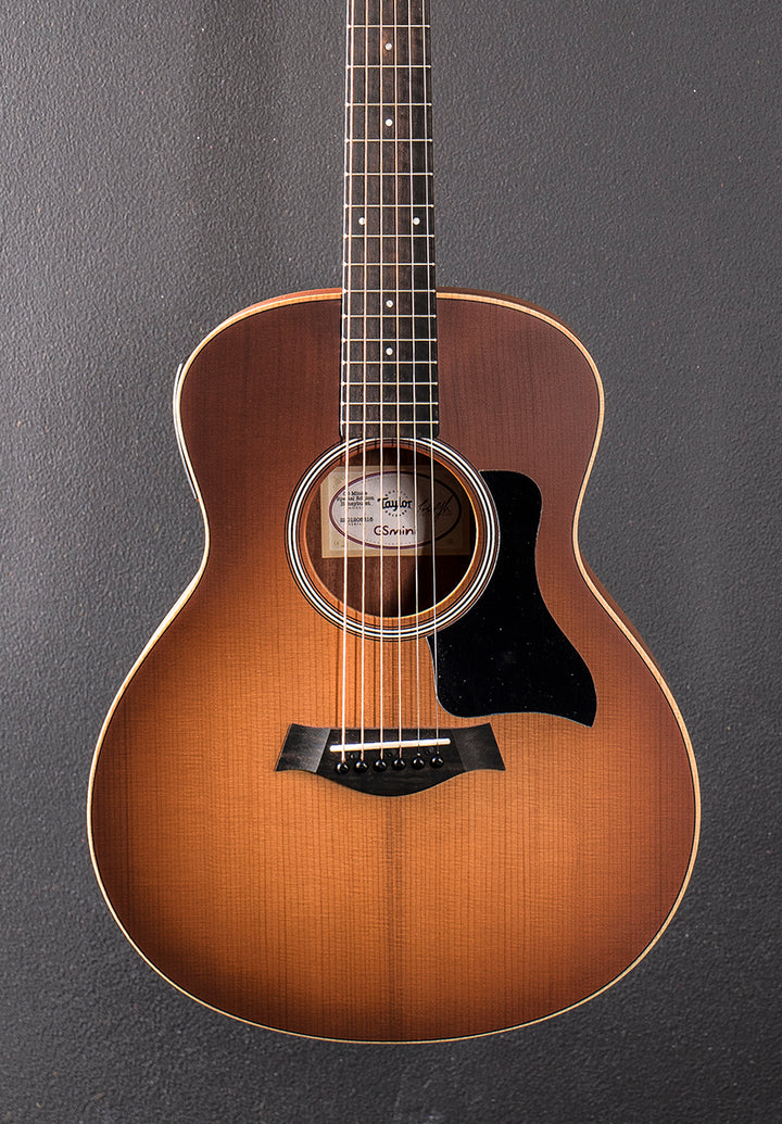 Used GS Mini-E Special Edition &