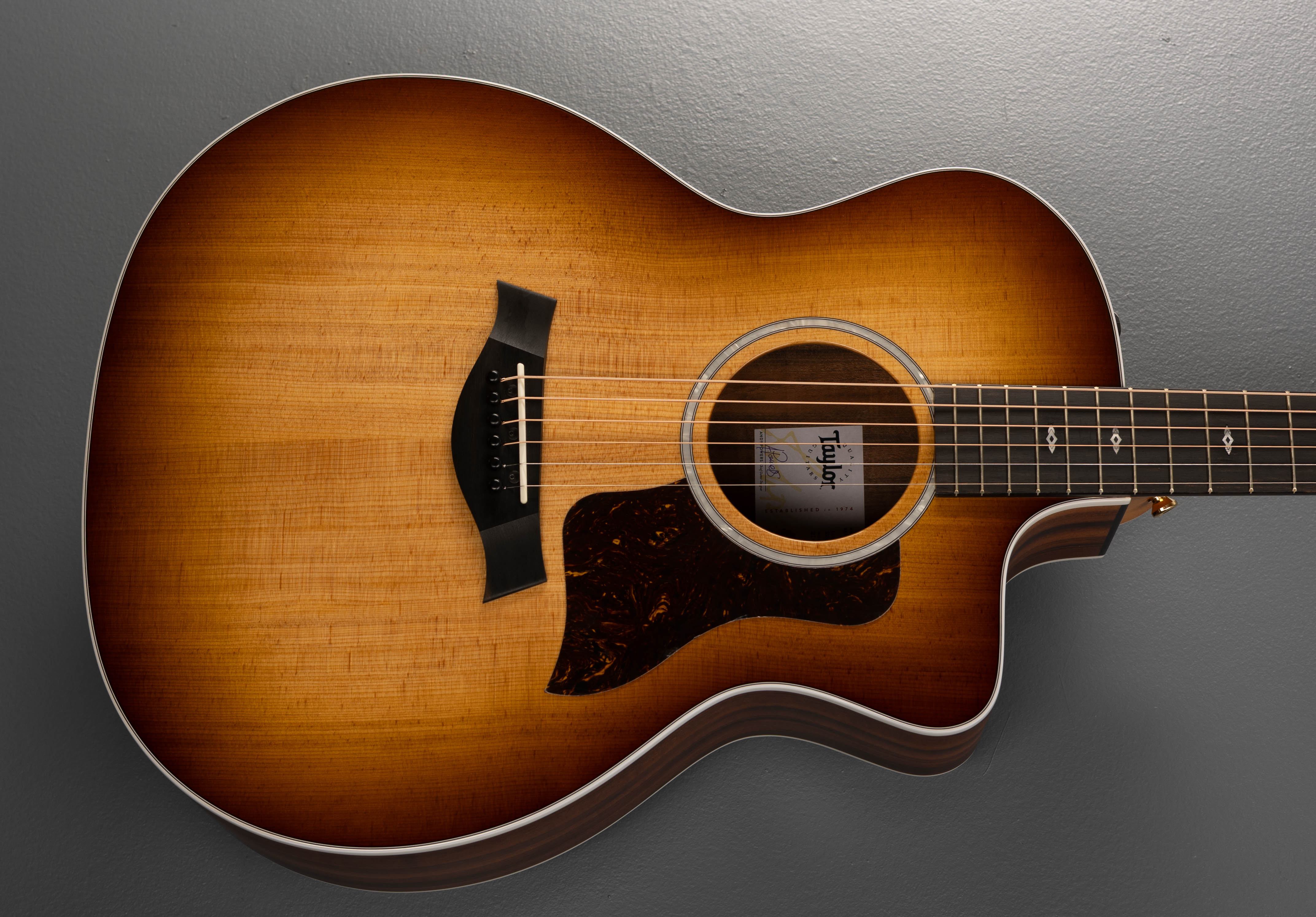 214CE Special Edition - Tigerwood '25 – Dave's Guitar Shop
