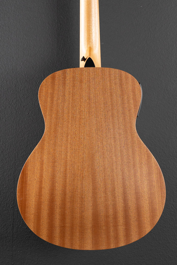 Used GS Mini-E Special Edition &