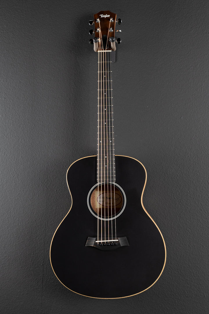 Used GS Mini-E Special Edition &