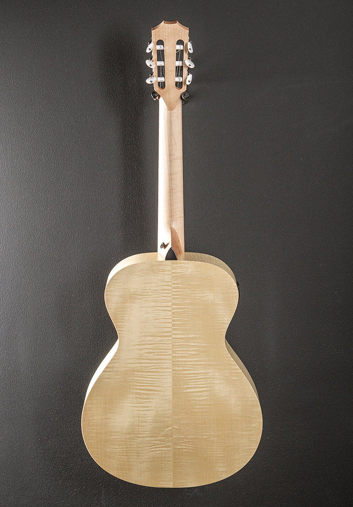 Evergreen Limited EG-12E-N (Academy 12E-N) '25