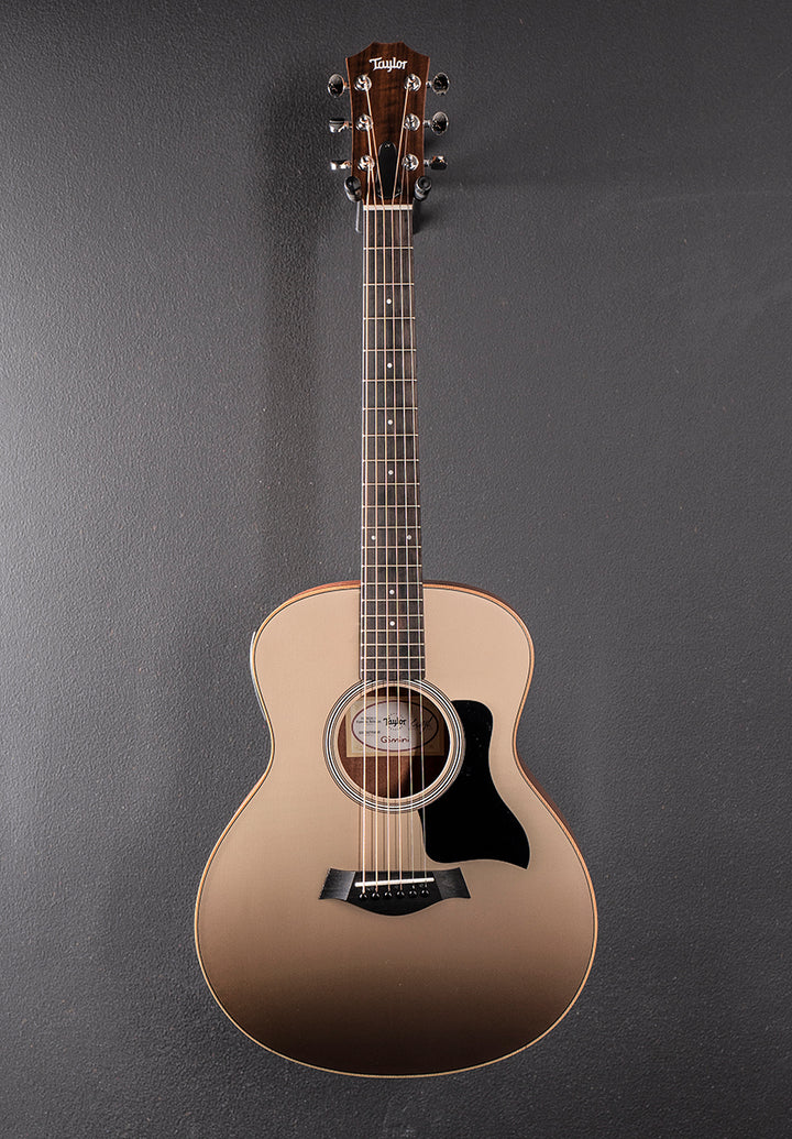 Used GS Mini-E Special Edition &