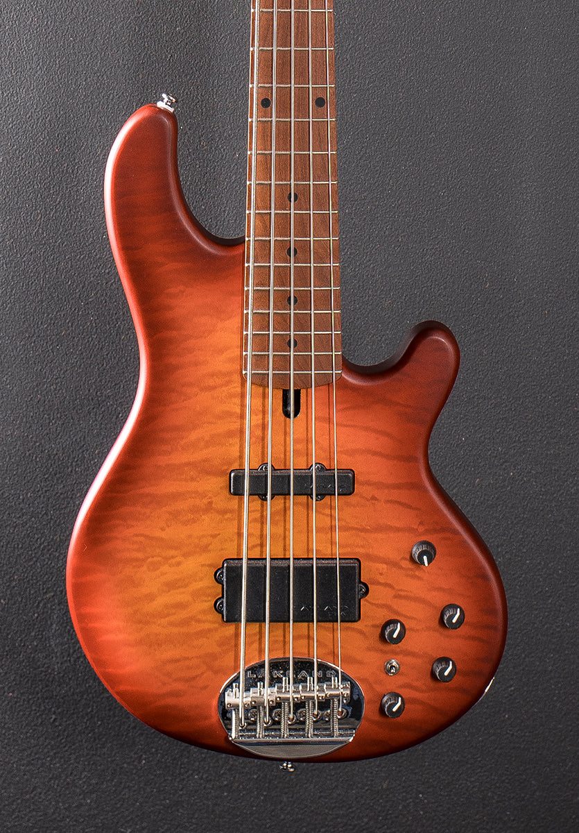 Skyline Series 55-02 Deluxe 5 String Bass w/Roasted Neck, Recent