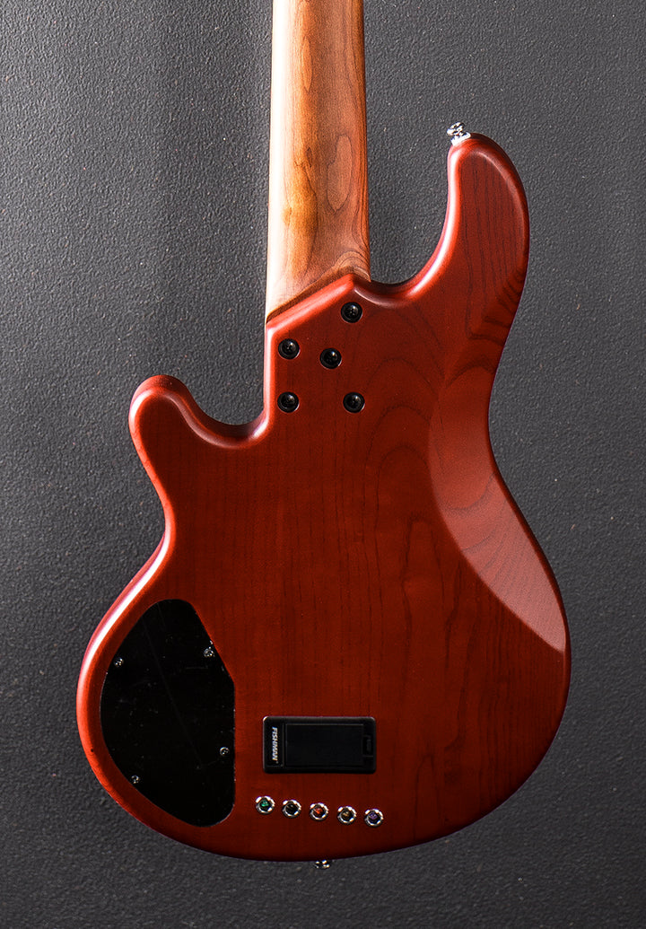 Skyline Series 55-02 Deluxe 5 String Bass w/Roasted Neck, Recent