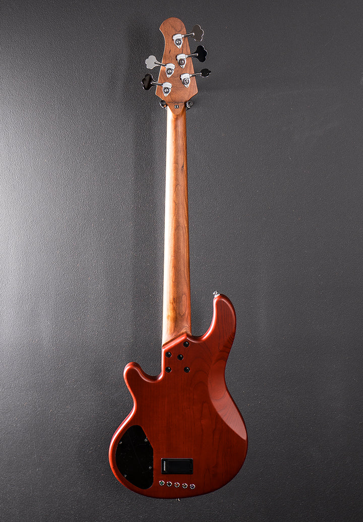 Skyline Series 55-02 Deluxe 5 String Bass w/Roasted Neck, Recent
