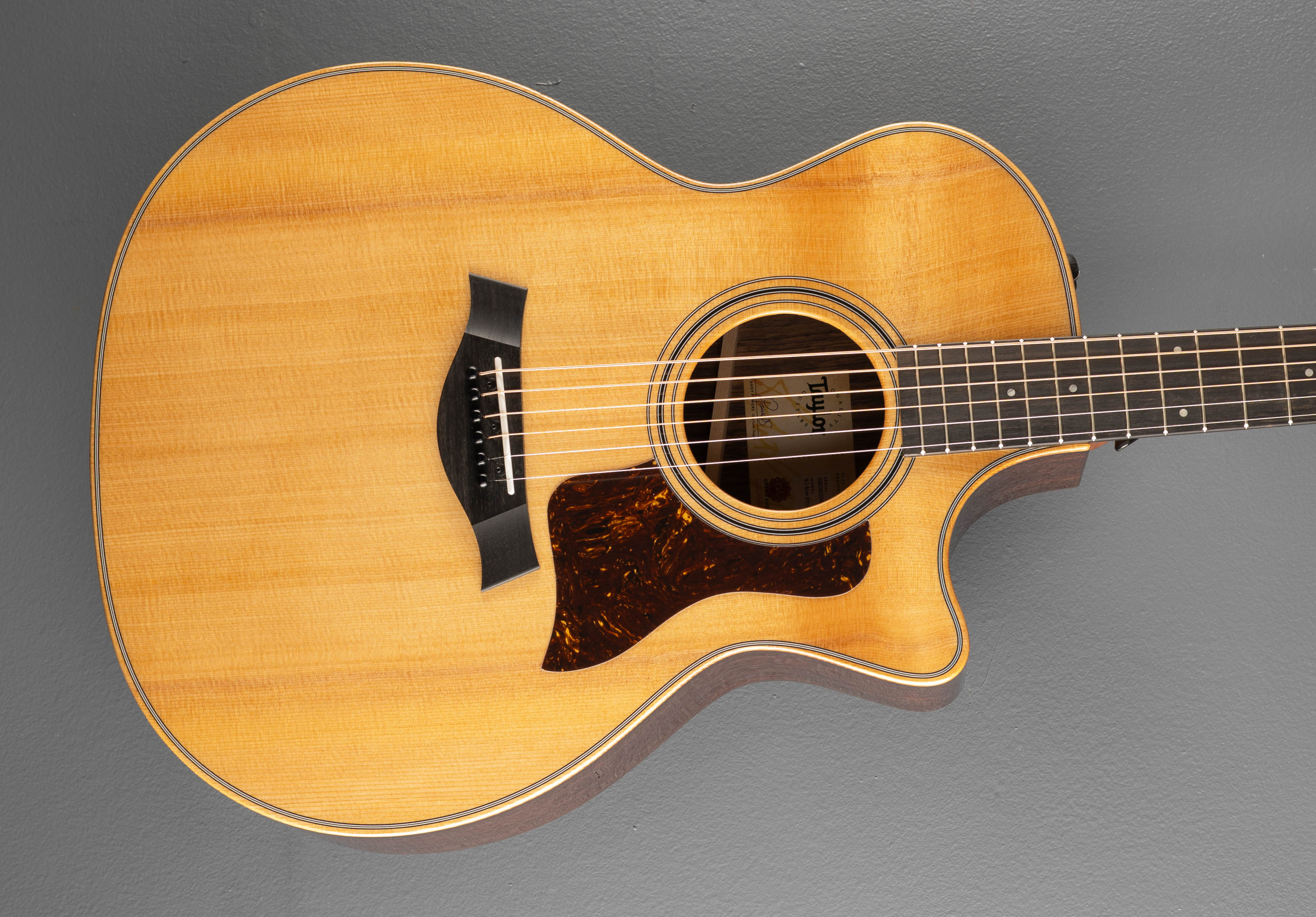 SALE！DeliciousTaylormade GhostNought69 Taylor - Used – Dave's Guitar Shop