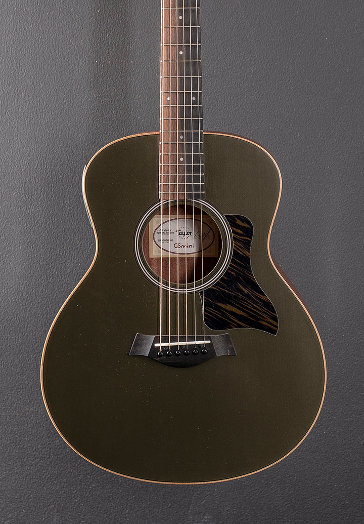 Used GS Mini-E Special Edition &