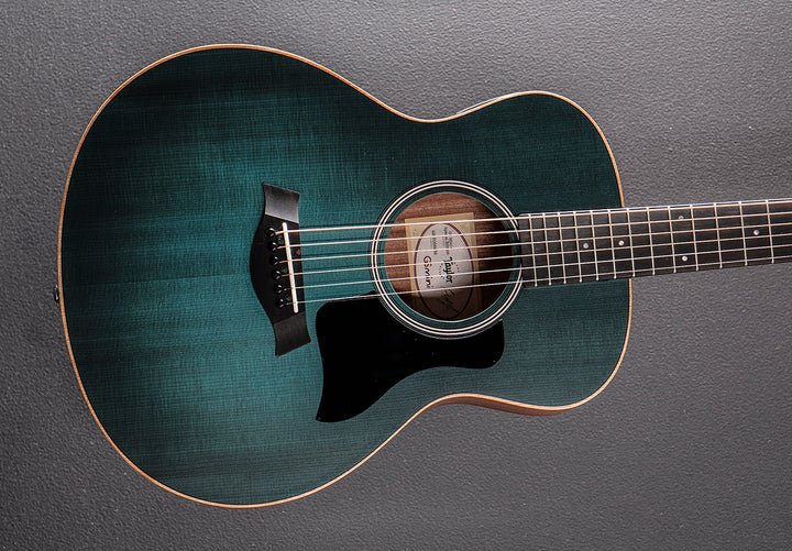 Used GS Mini-E Special Edition &