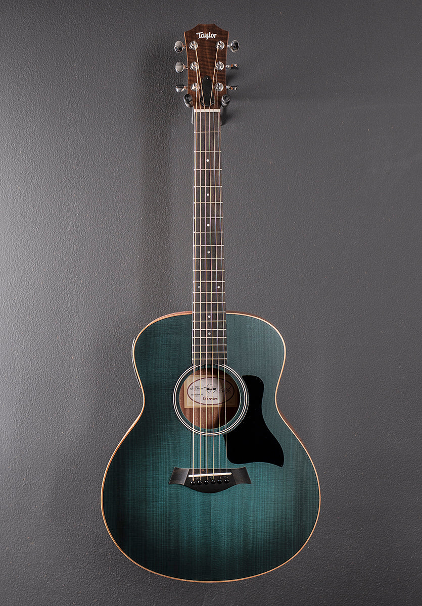 Used GS Mini-E Special Edition &