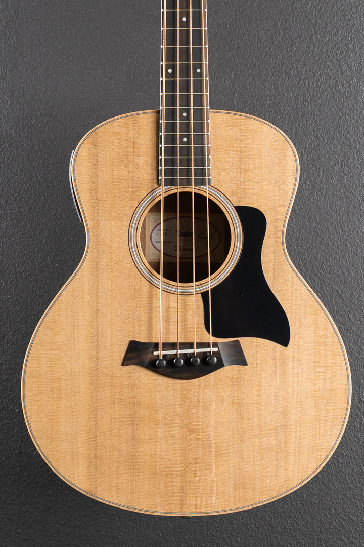 Used GS Mini-E Bass &