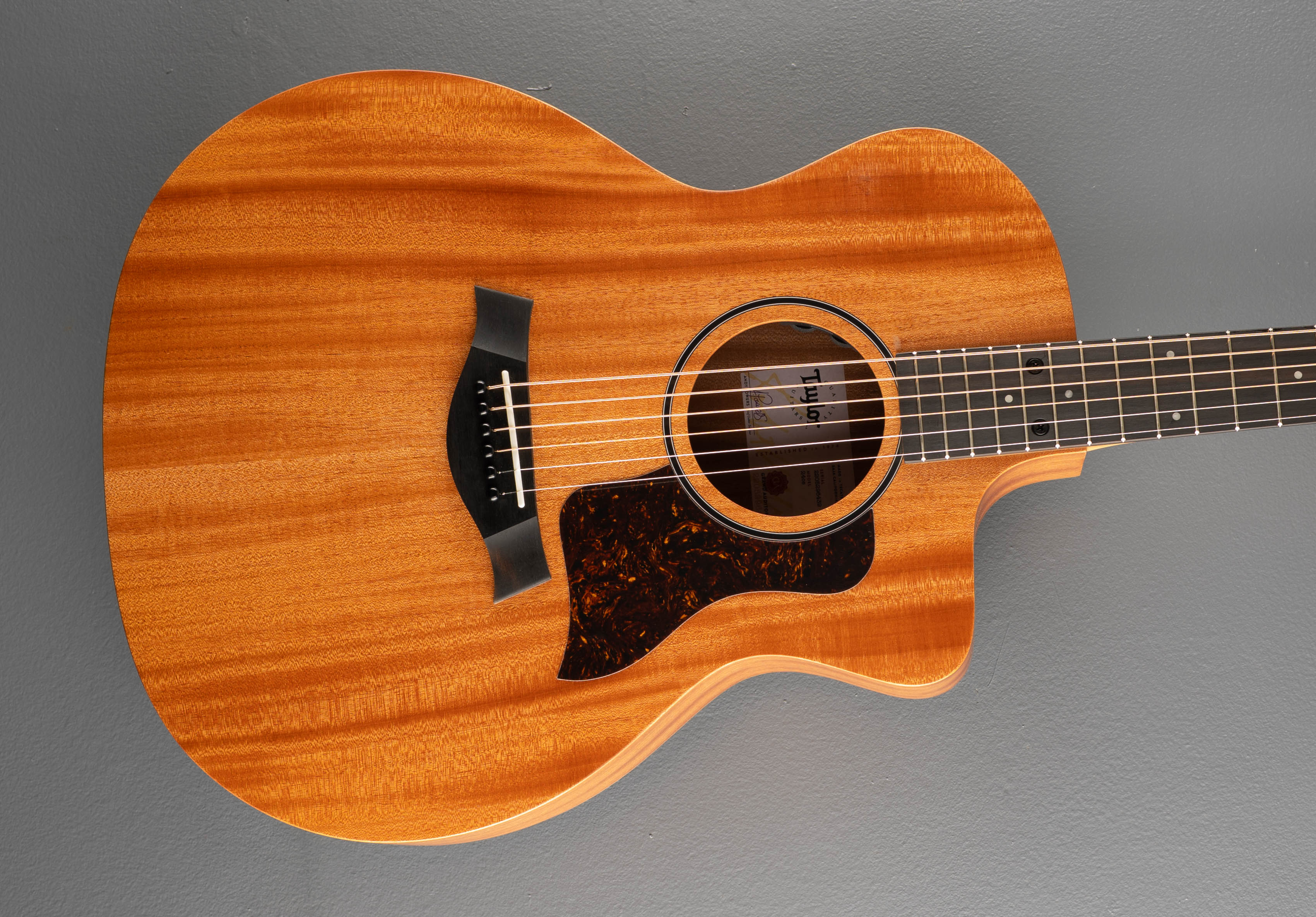 Taylor Guitars – Dave's Guitar Shop
