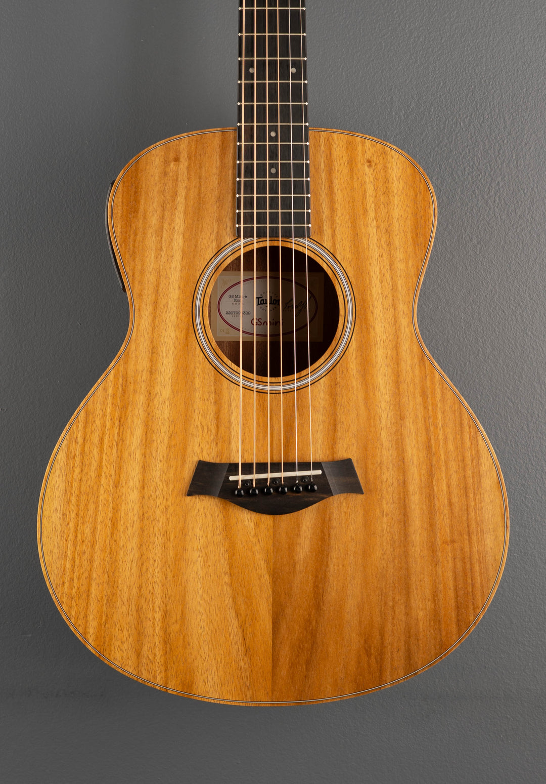 USED GS Mini-e Koa &