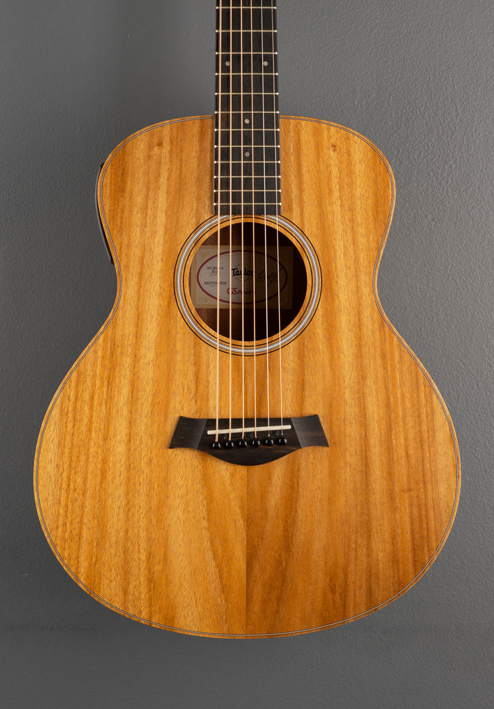 USED GS Mini-e Koa &