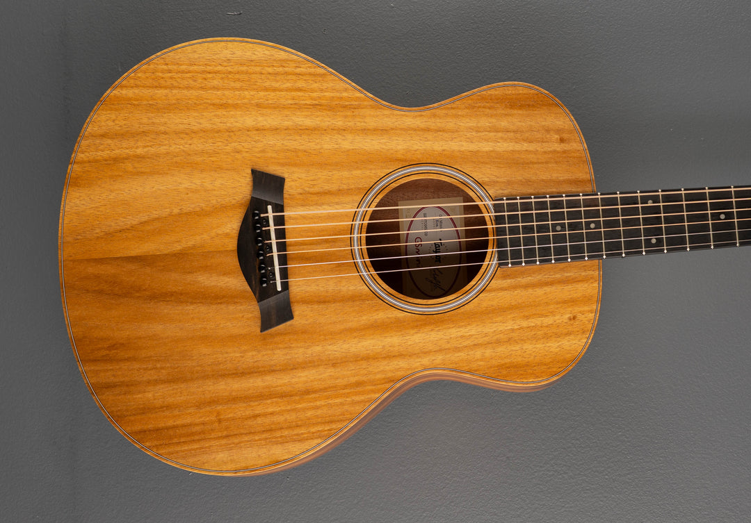 USED GS Mini-e Koa &