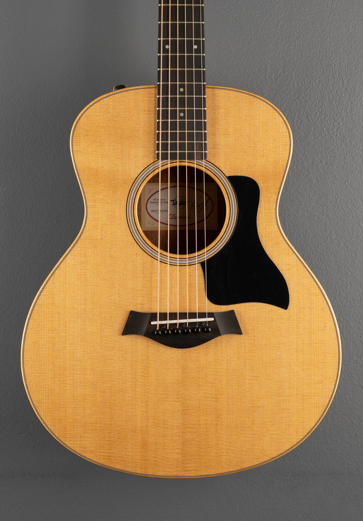 Used GS Mini-E Rosewood Plus, &