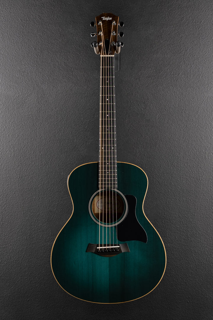 Used GS Mini-E Special Edition &