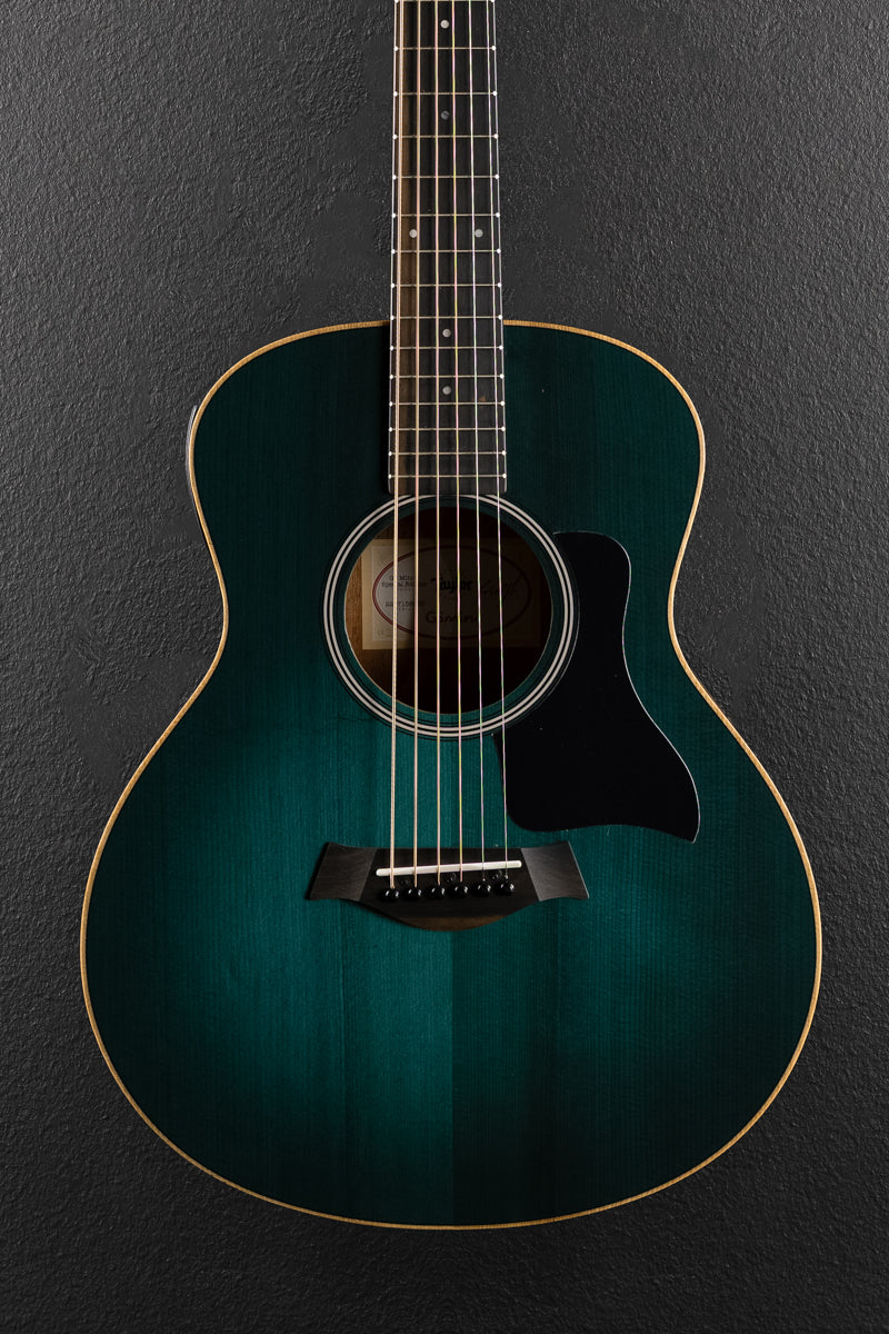Used GS Mini-E Special Edition &