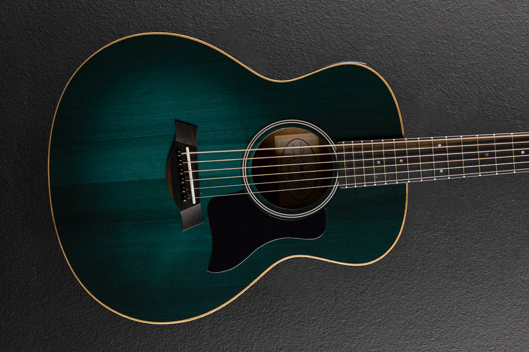 Used GS Mini-E Special Edition &