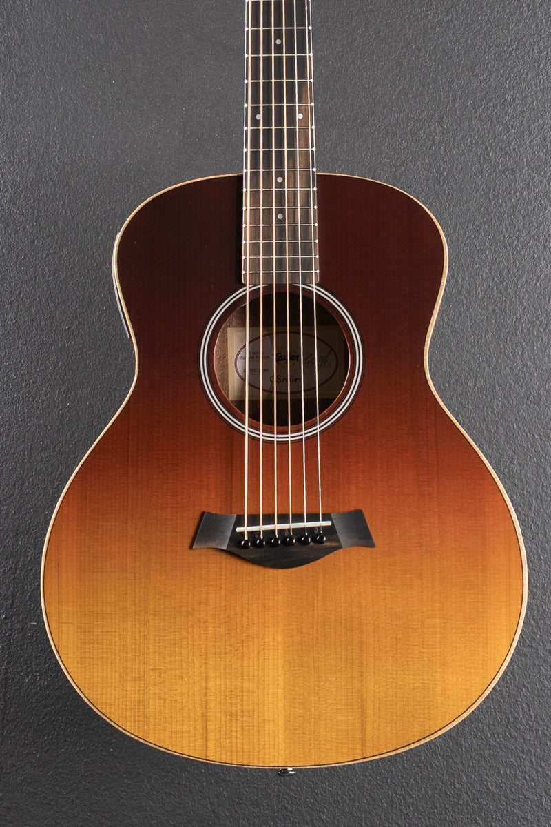 Used GS Mini-E Special Edition &