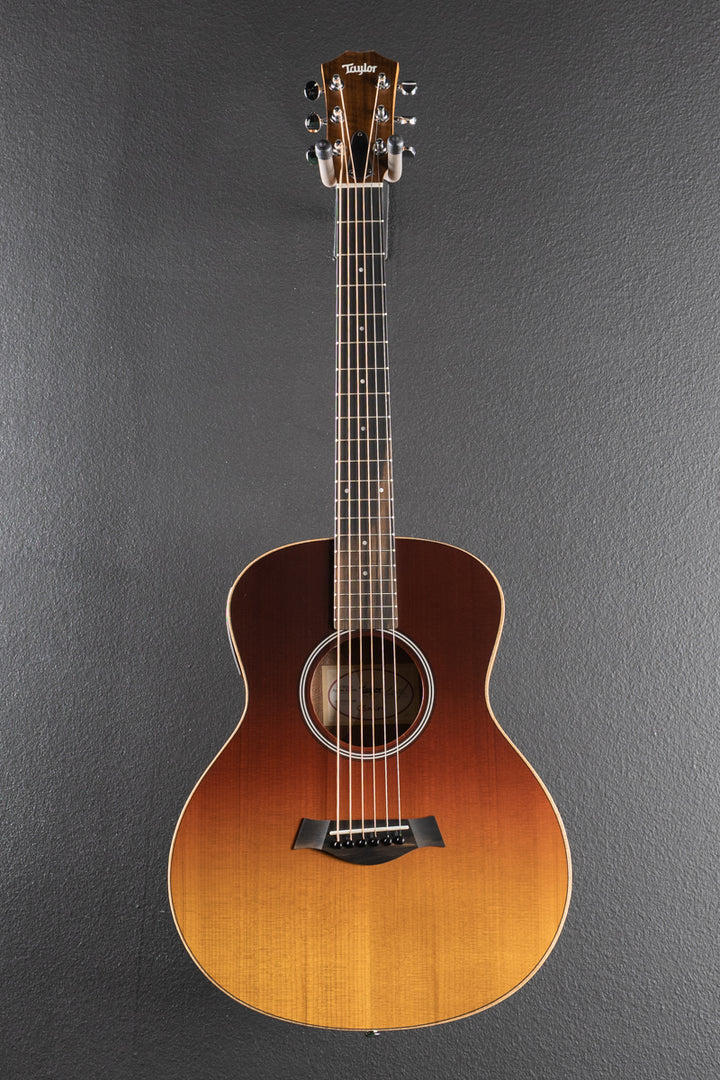 Used GS Mini-E Special Edition &