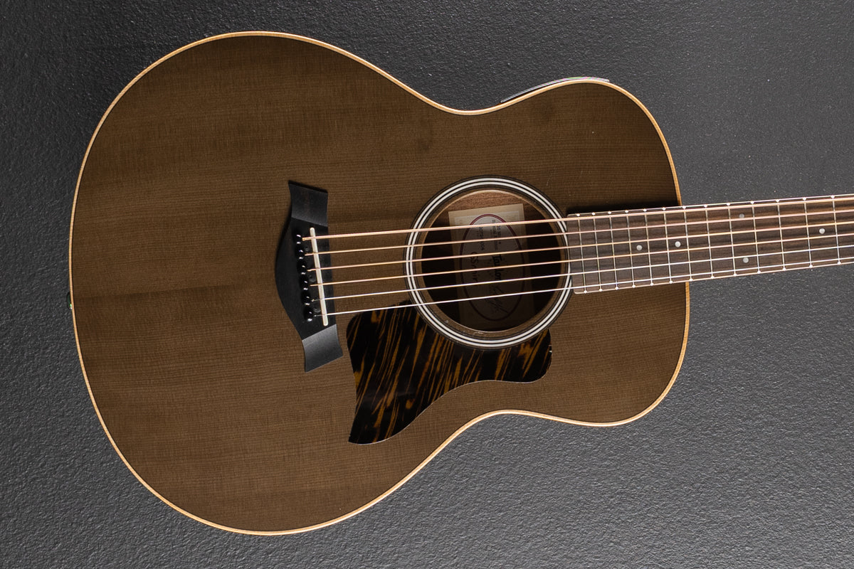 Used GS Mini-E Special Edition '24 – Dave's Guitar Shop