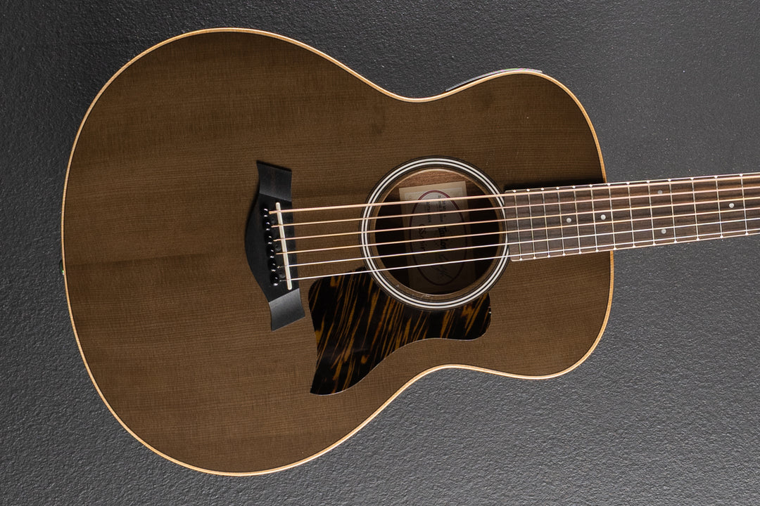 Used GS Mini-E Special Edition &