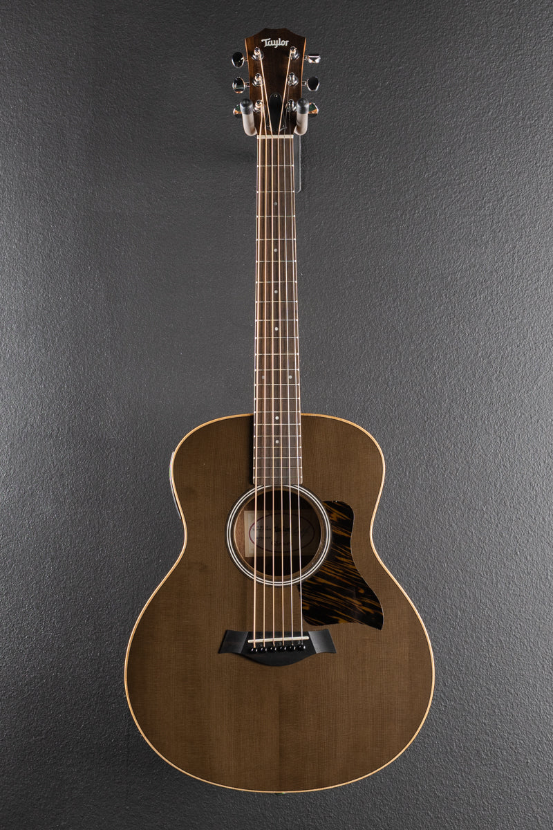 Used GS Mini-E Special Edition &
