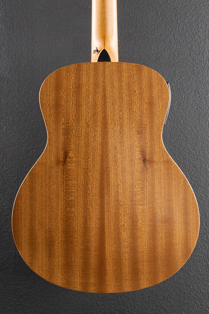 Used GS Mini-E Special Edition &