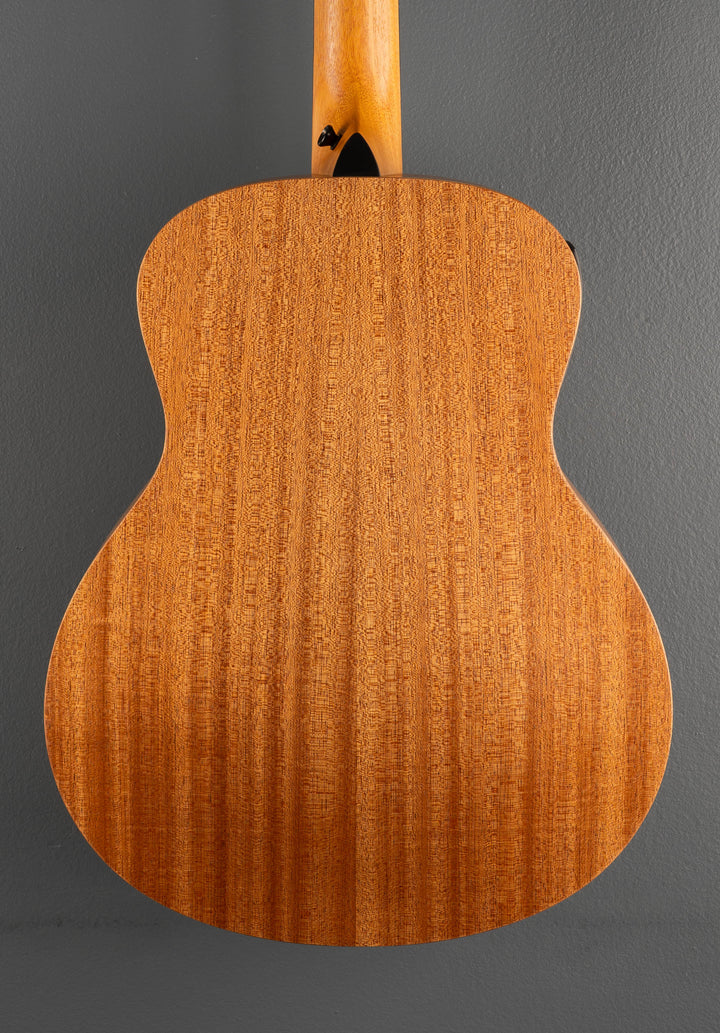 Used GS Mini-E Special Edition, &