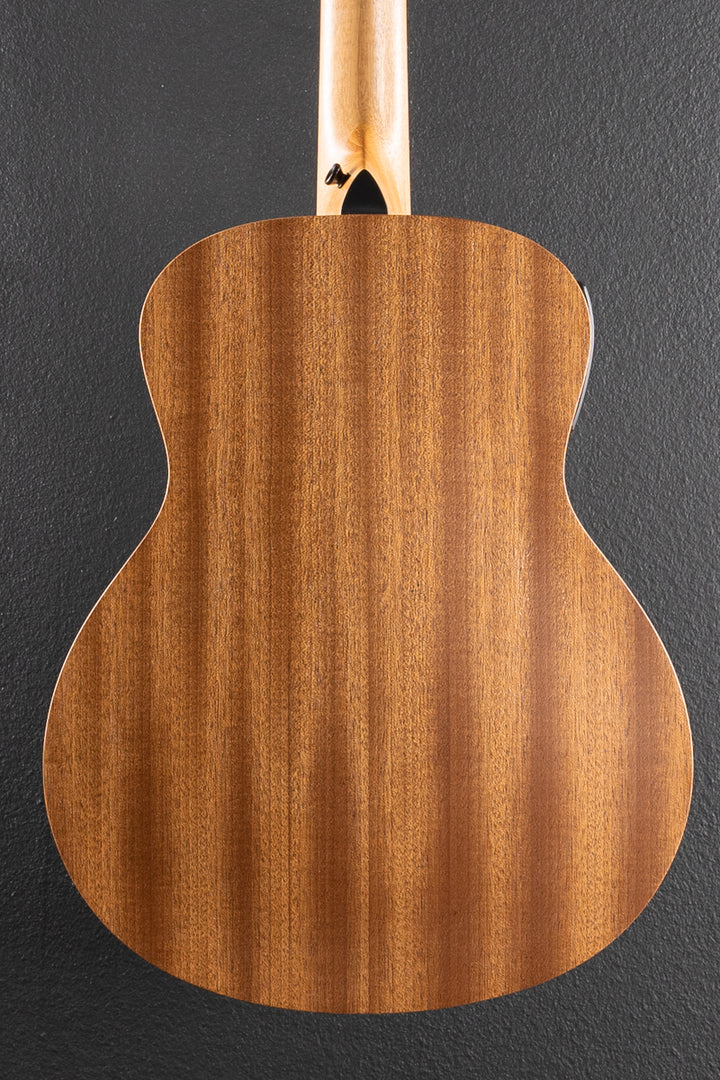 Used GS Mini-E Special Edition &