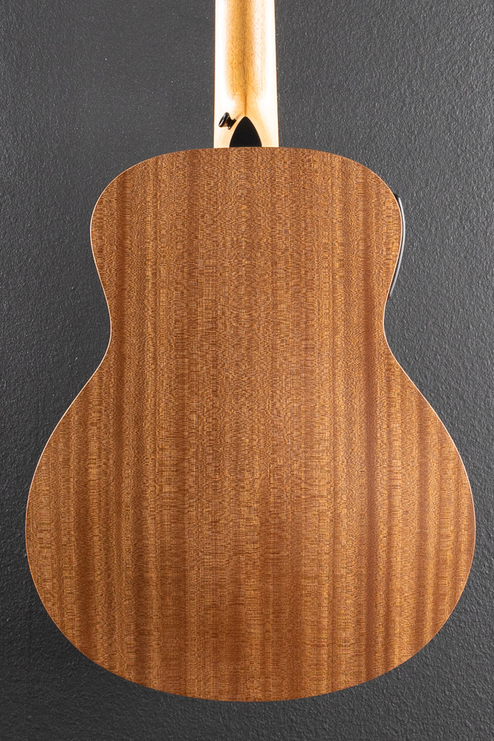 Used GS Mini-E Telos Special Edition &