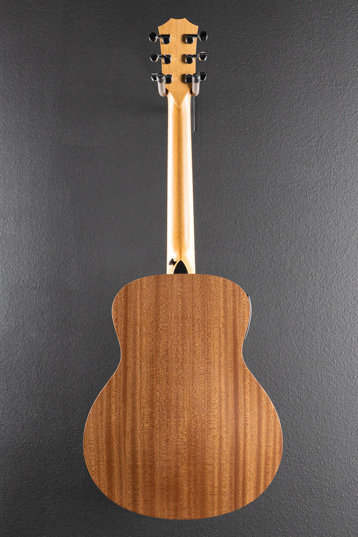 Used GS Mini-E Telos Special Edition &