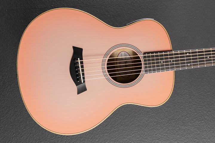 Used GS Mini-E Special Edition &