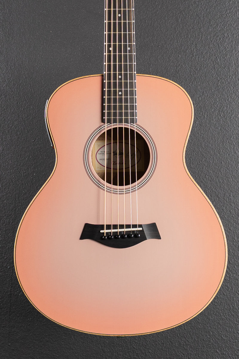 Used GS Mini-E Special Edition &