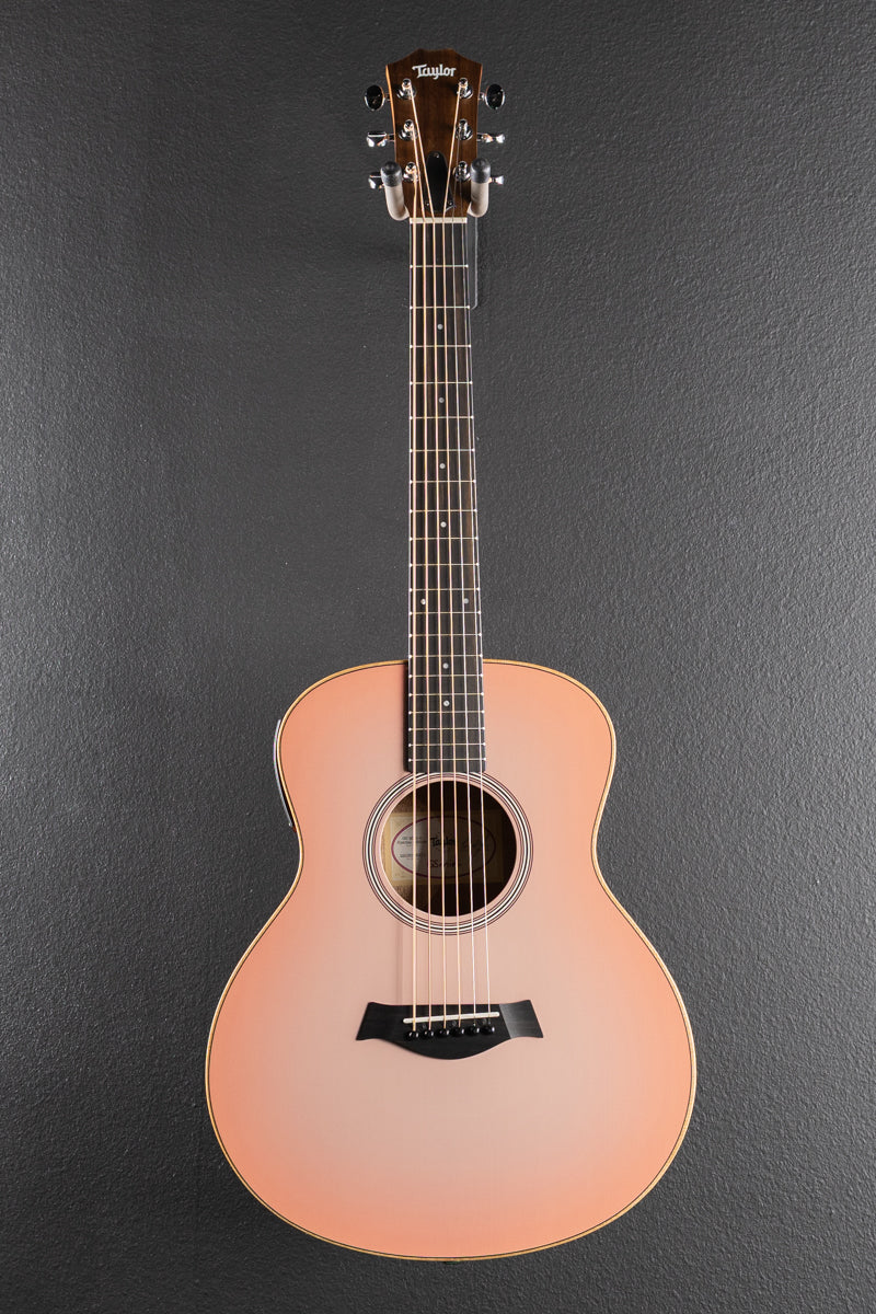 Used GS Mini-E Special Edition &