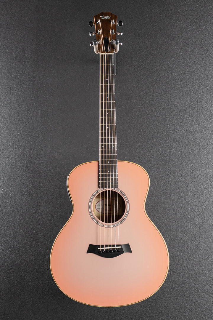Used GS Mini-E Special Edition &