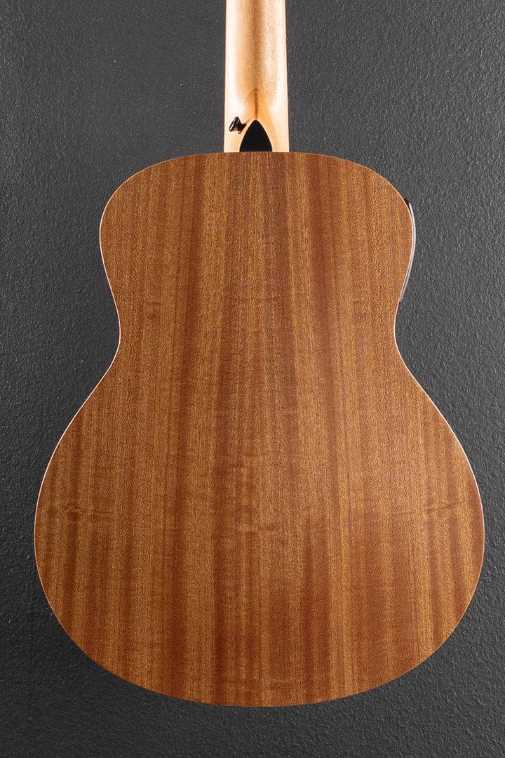 Used GS Mini-E Special Edition &
