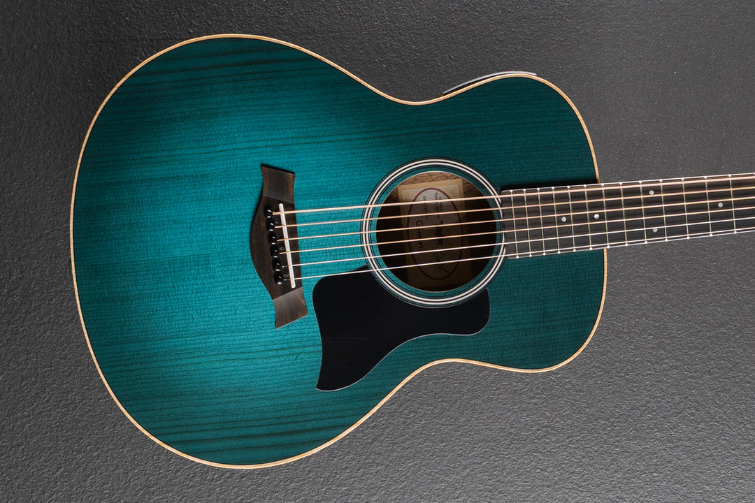 Used GS Mini-E Special Edition &