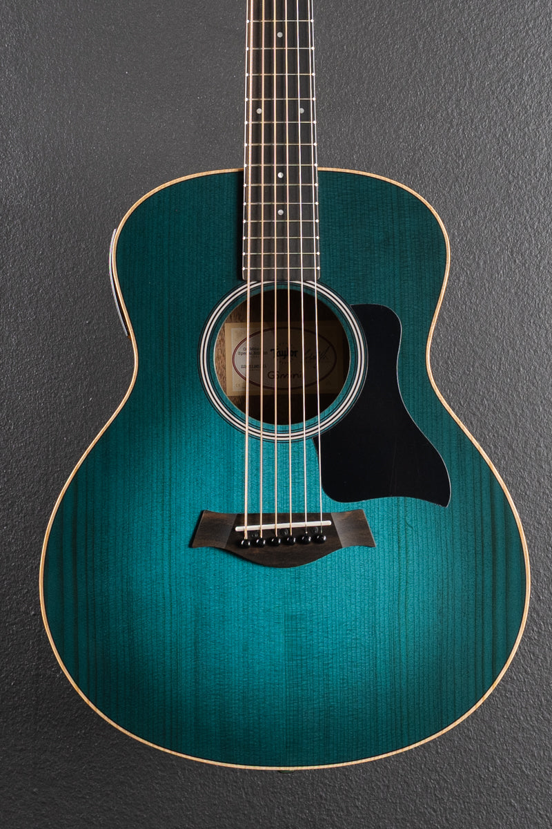 Used GS Mini-E Special Edition &