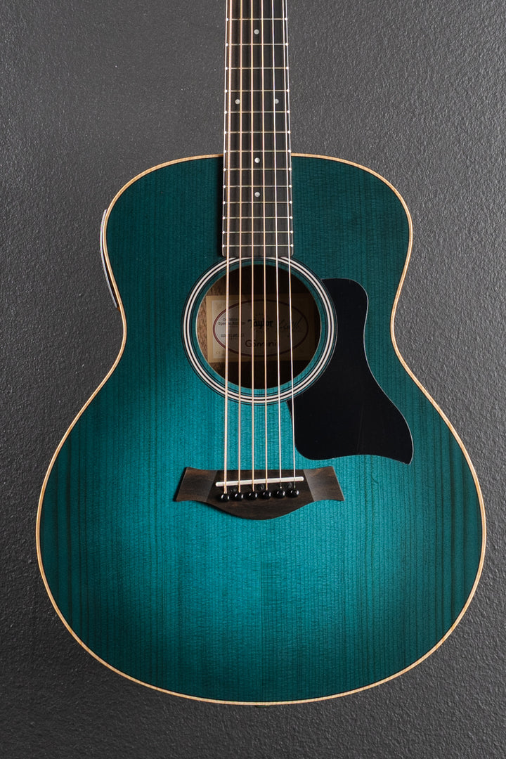 Used GS Mini-E Special Edition &