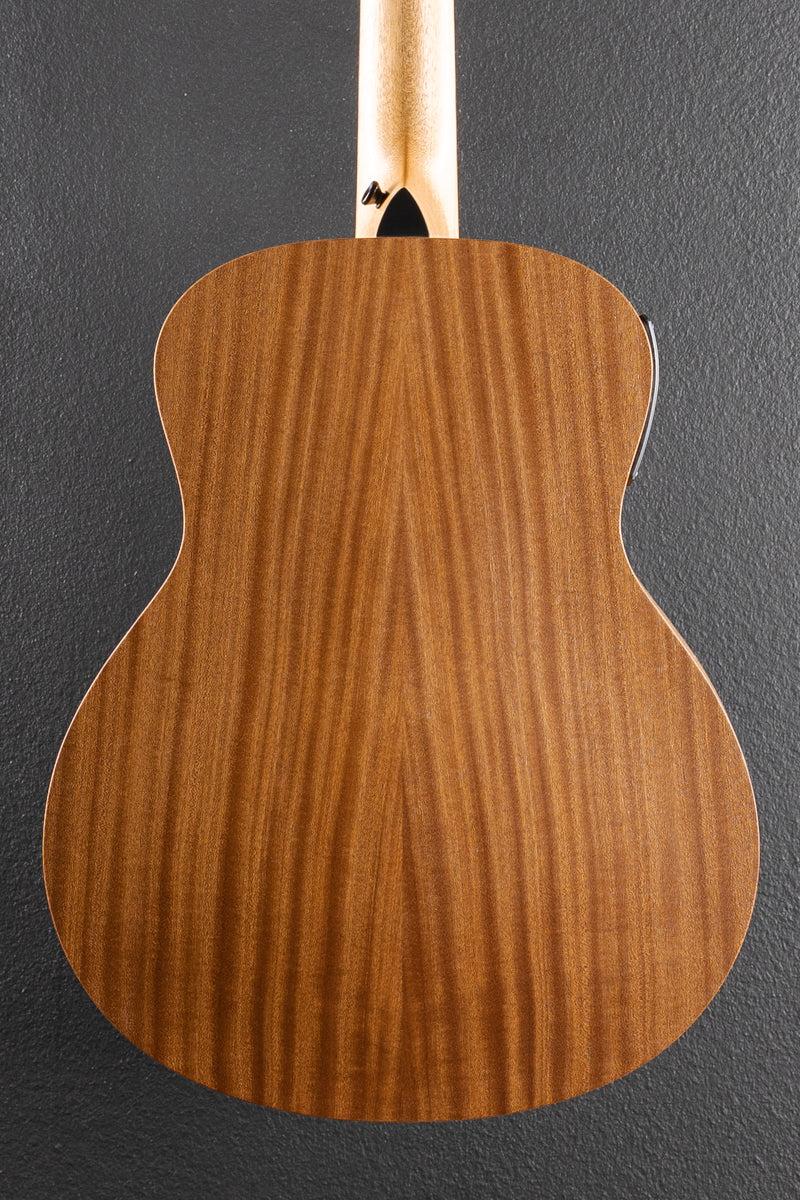 Used GS Mini-E Special Edition &