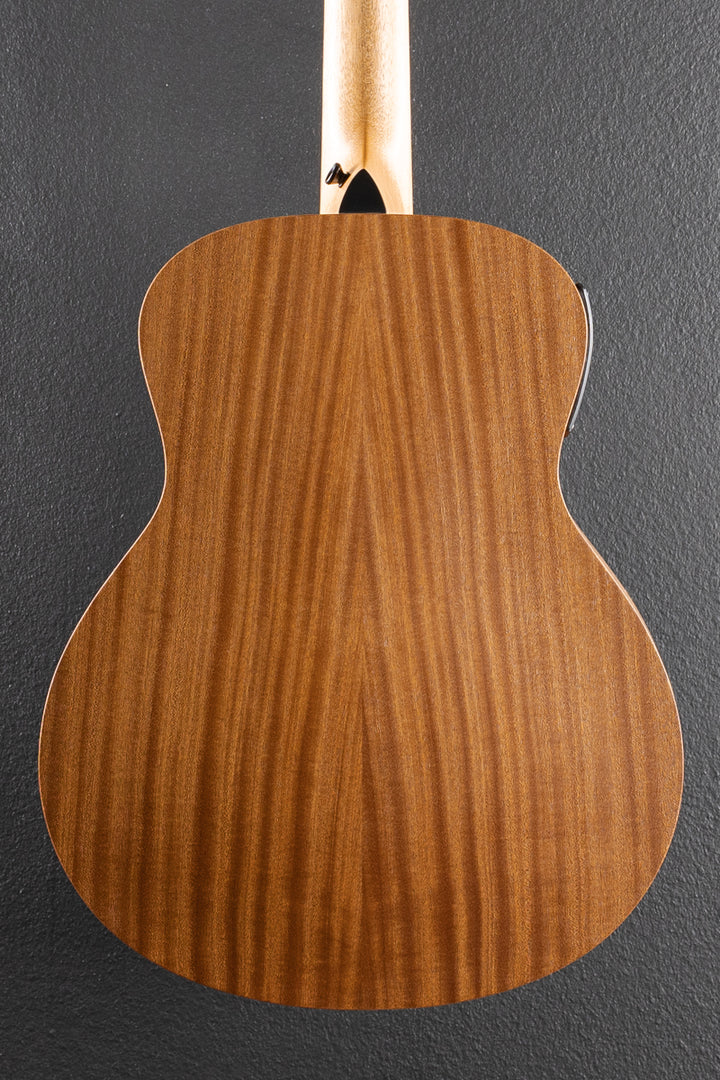 Used GS Mini-E Special Edition &