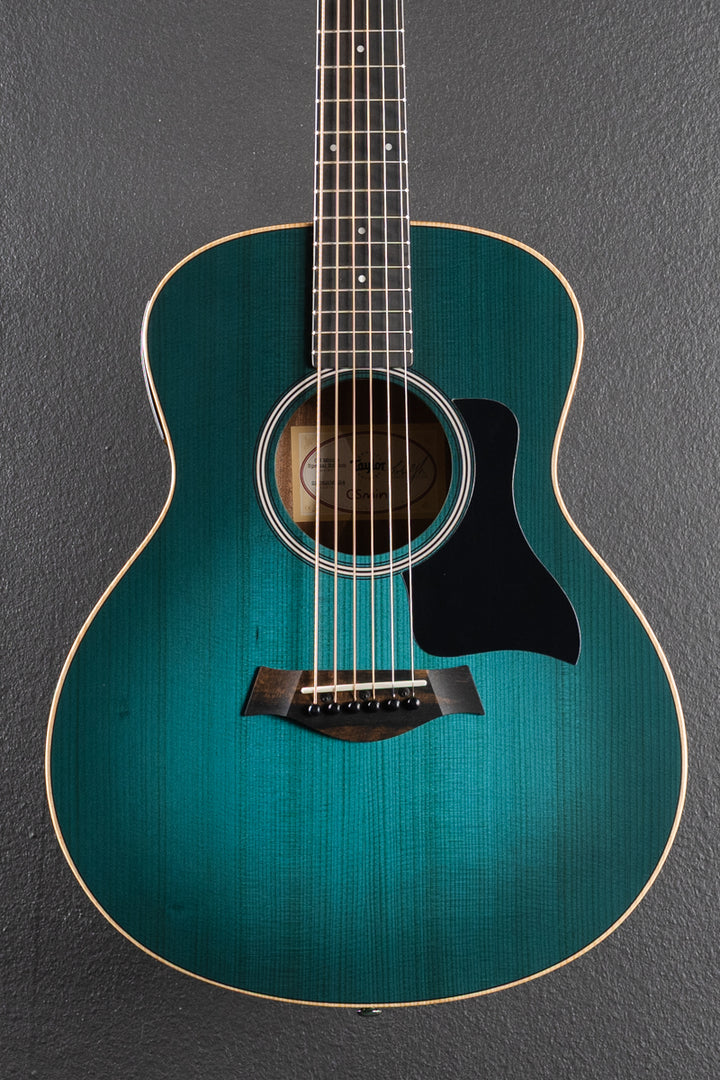 Used GS Mini-E Special Edition &