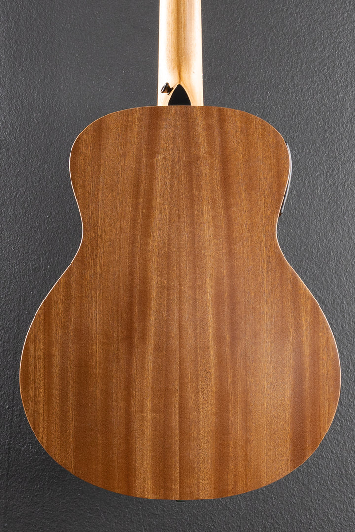 Used GS Mini-E Special Edition &