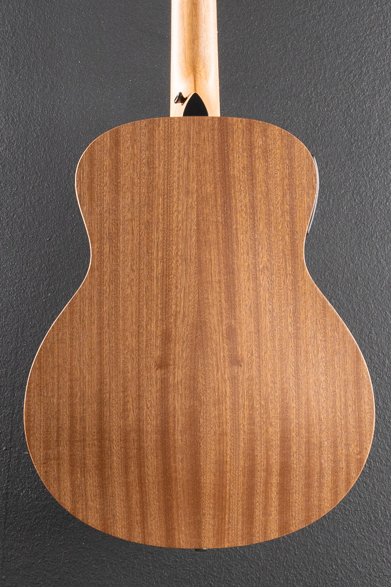 Used GS Mini-E Special Edition &