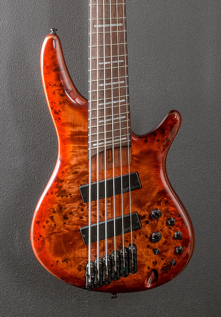 SRMS806 Bass - Brown Topaz Burst