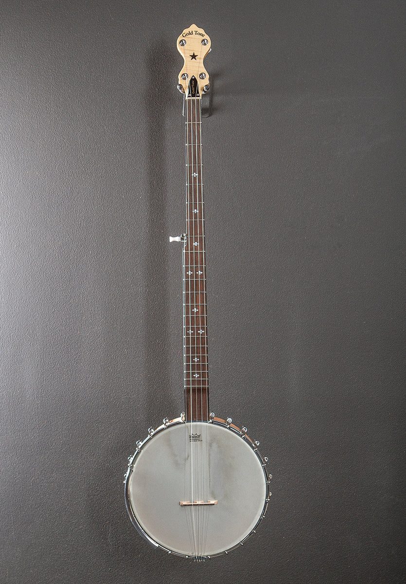 MM-150LN Maple Mountain Openback Long Neck Banjo, Recent
